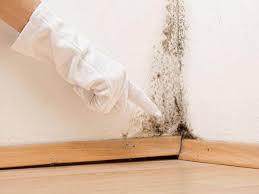 Best Asbestos and Lead Testing During Mold Inspection  in Holiday City Berkeley, NJ